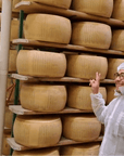 Parmesan Cheese Factory Tour & Tasting near Parma - Parmesan Tour - Touraround