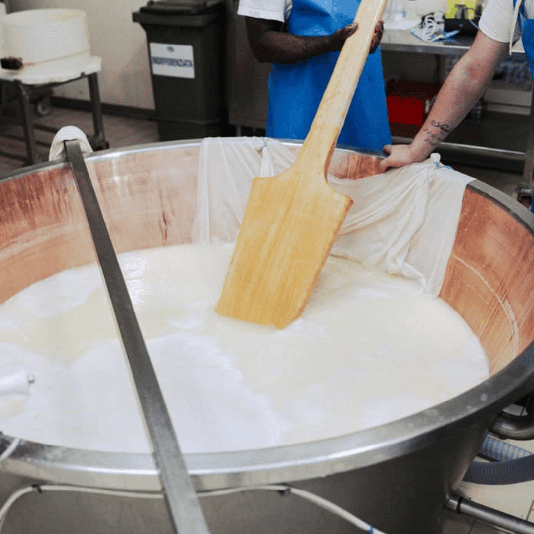 Parmesan Cheese Factory Tour & Tasting near Parma - Parmesan Tour - Touraround