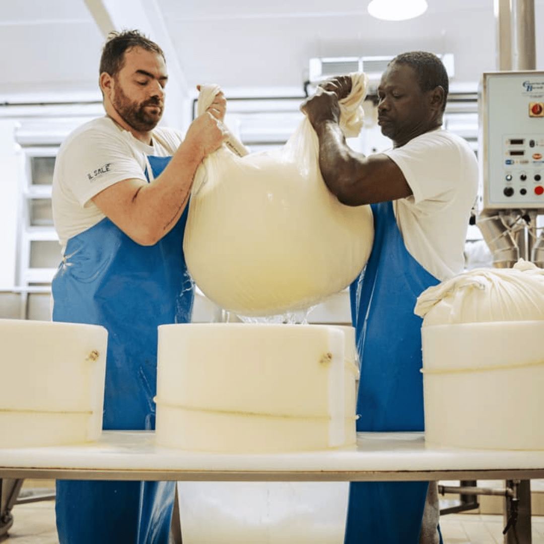 Parmesan Cheese Factory Tour & Tasting near Parma - Parmesan Tour - Touraround