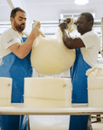 Parmesan Cheese Factory Tour & Tasting near Parma - Parmesan Tour - Touraround