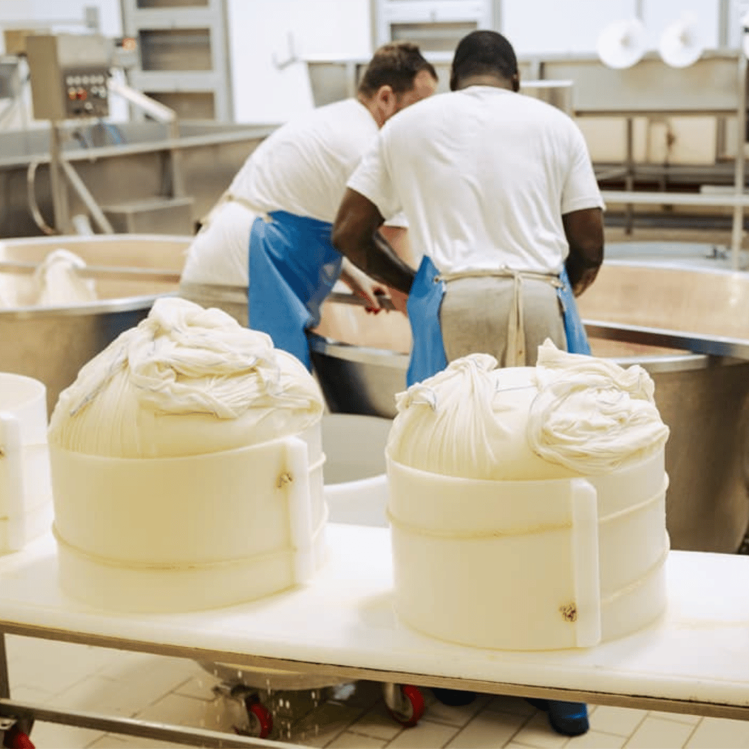 Parmesan Cheese Factory Tour & Tasting near Parma - Parmesan Tour - Touraround