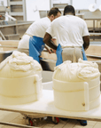 Parmesan Cheese Factory Tour & Tasting near Parma - Parmesan Tour - Touraround
