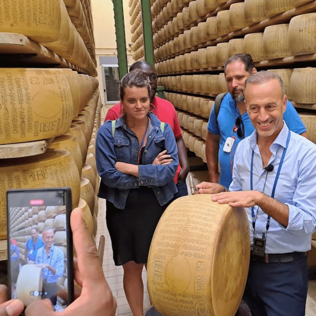 Parmesan Cheese Factory Tour & Tasting near Parma - Parmesan Tour - Touraround