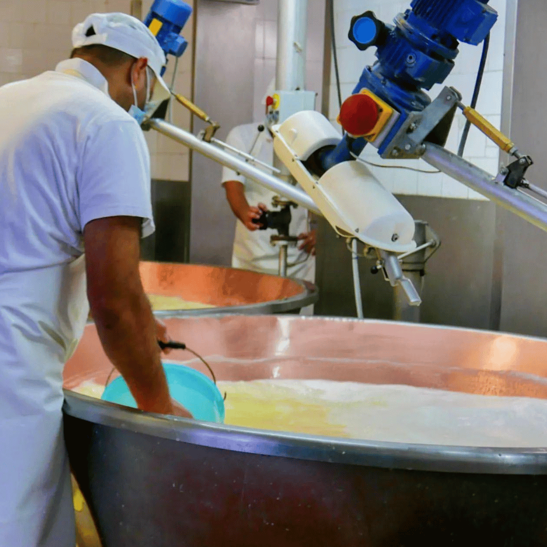 Parmesan Wheels near Parma: Tasting & Factory Tour - Parmesan Tour - Touraround