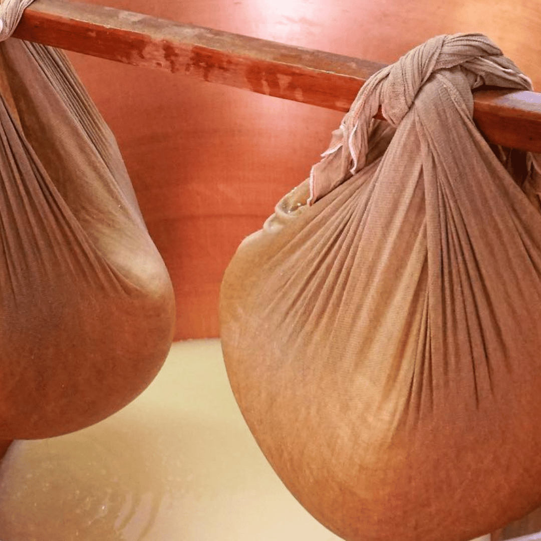 Parmesan Wheels near Parma: Tasting & Factory Tour - Parmesan Tour - Touraround