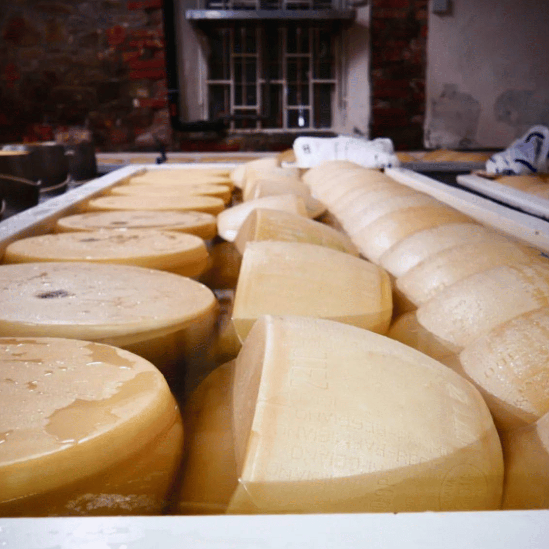Parmesan Wheels near Parma: Tasting & Factory Tour - Parmesan Tour - Touraround