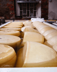Parmesan Wheels near Parma: Tasting & Factory Tour - Parmesan Tour - Touraround