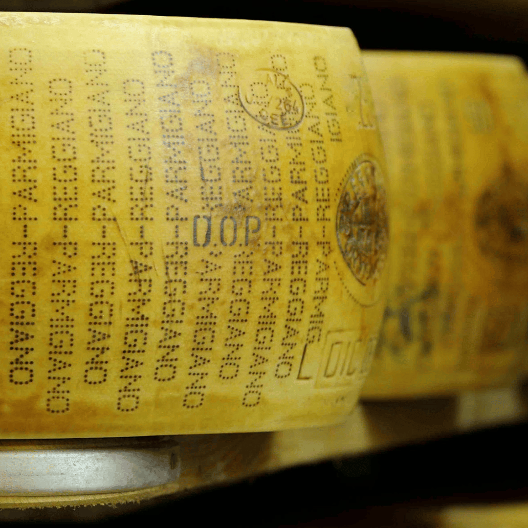 Parmesan Wheels near Parma: Tasting & Factory Tour - Parmesan Tour - Touraround