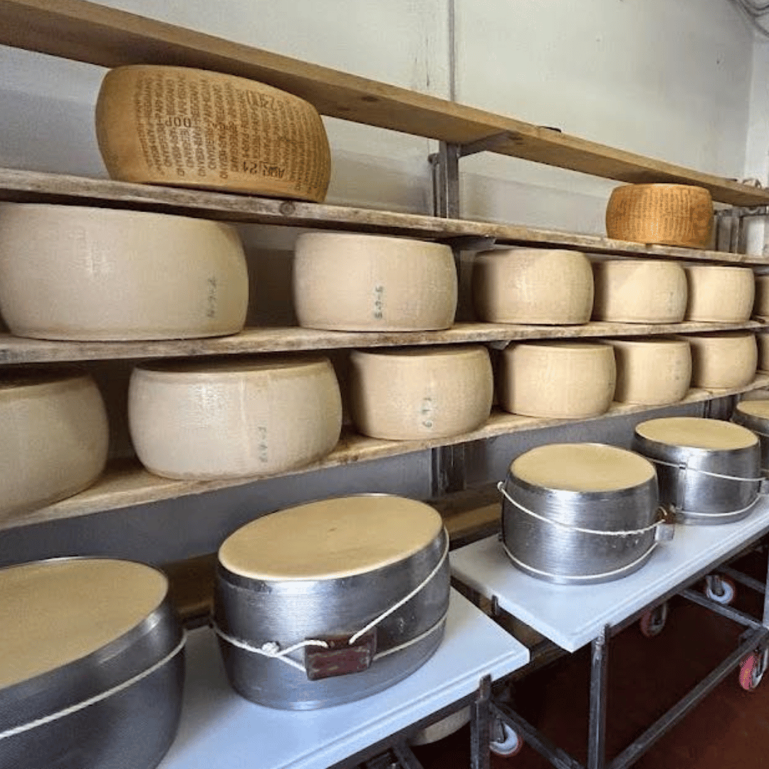 Parmesan Wheels near Parma: Tasting & Factory Tour - Parmesan Tour - Touraround