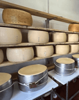 Parmesan Wheels near Parma: Tasting & Factory Tour - Parmesan Tour - Touraround