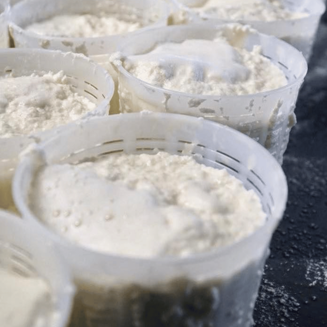 Parmesan Wheels near Parma: Tasting & Factory Tour - Parmesan Tour - Touraround