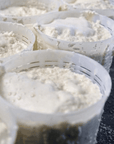 Parmesan Wheels near Parma: Tasting & Factory Tour - Parmesan Tour - Touraround