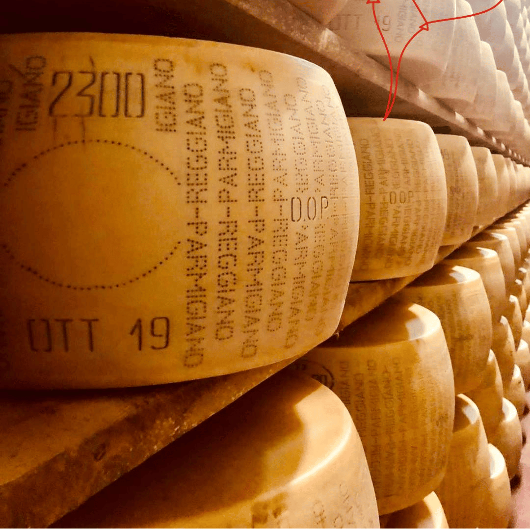 Parmesan Wheels near Parma: Tasting & Factory Tour - Parmesan Tour - Touraround