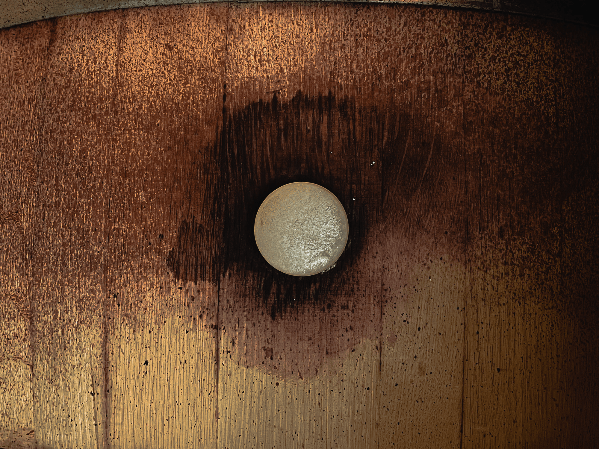 Pavia: Organic Winery Visit & Wine Tasting with Food Platter - Wine Tasting - Touraround