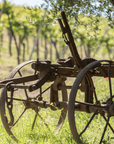 Pavia: Organic Winery Visit & Wine Tasting with Food Platter - Wine Tasting - Touraround