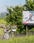 Pavia: Organic Winery Visit & Wine Tasting with Food Platter - Wine Tasting - Touraround
