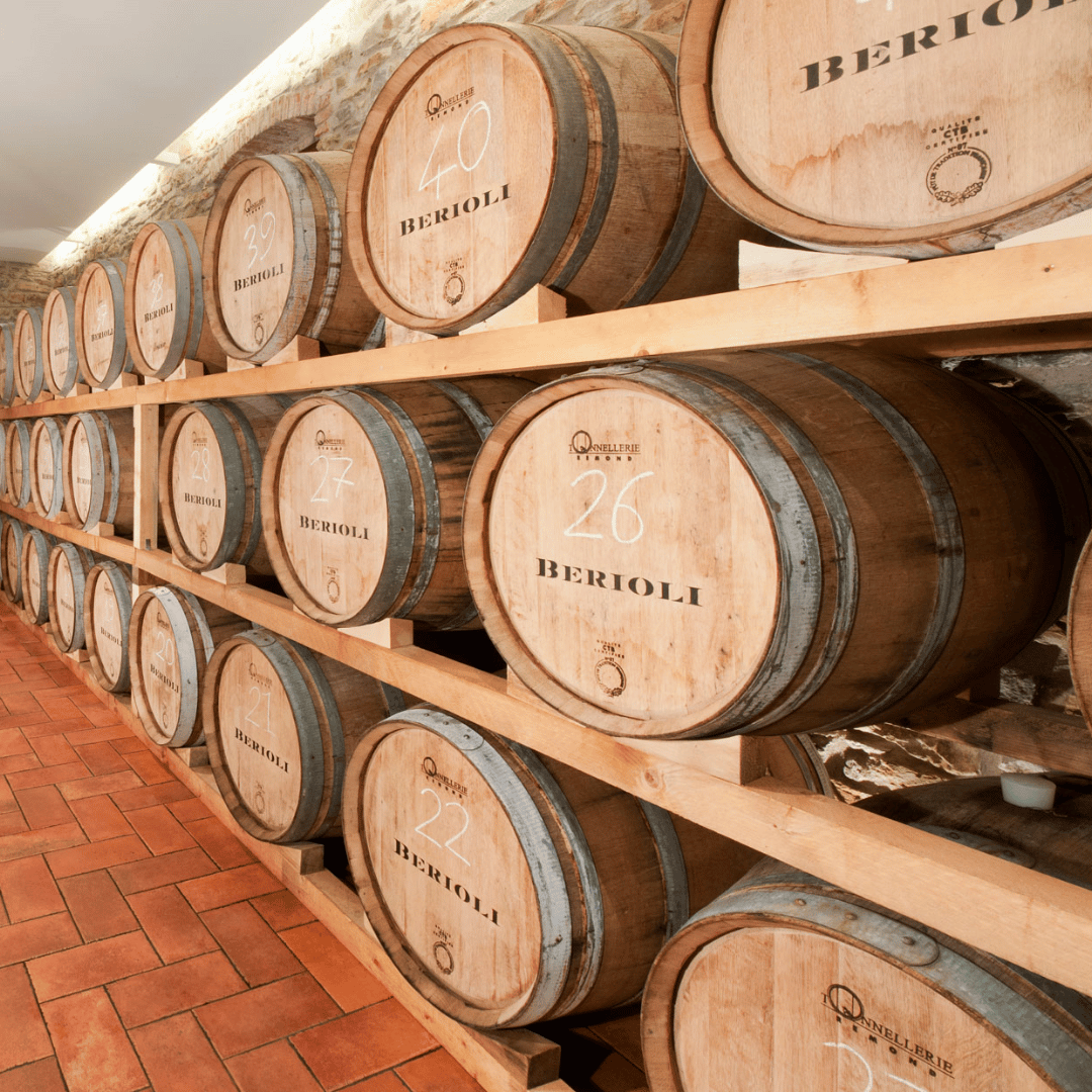 Perugia Winery Visit & Tasting near the Lake Trasimeno - Wine Tasting - Touraround