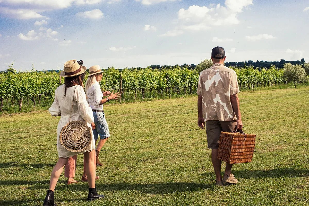 Private Pic Nic in the Vineyards - Wine Tasting - Touraround