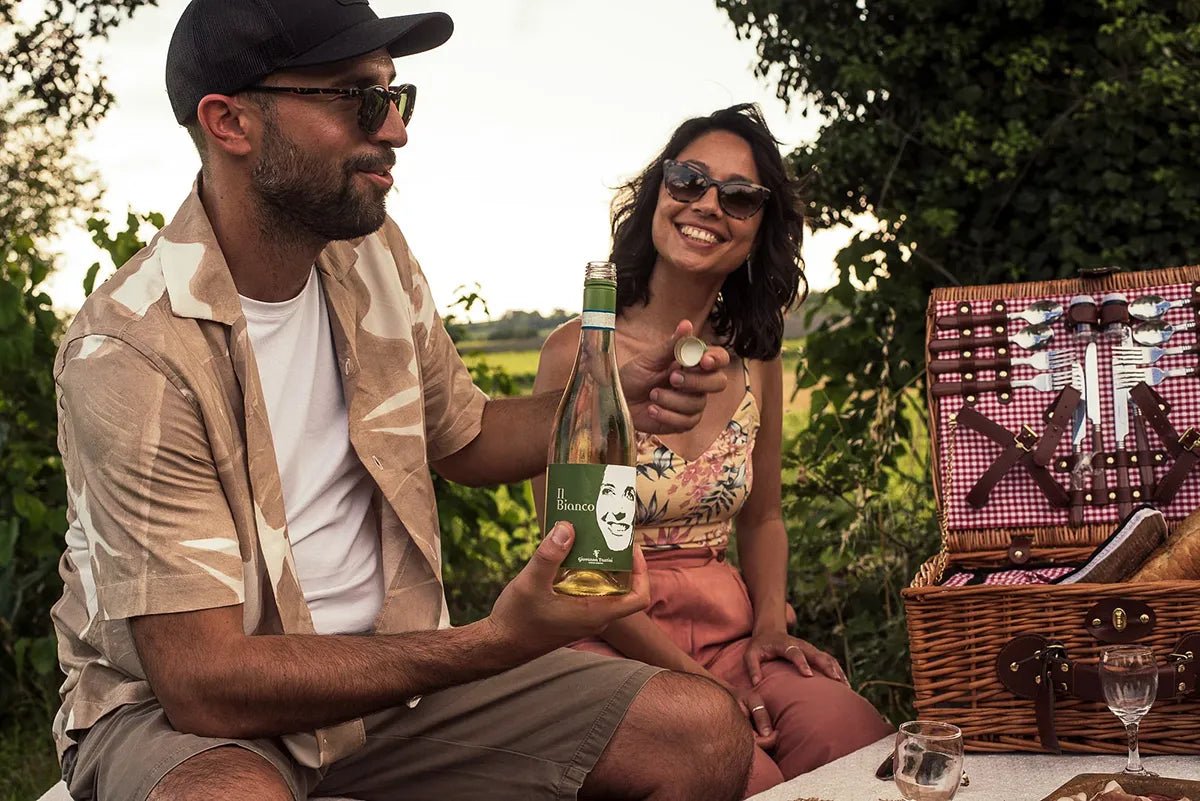 Private Pic Nic in the Vineyards - Wine Tasting - Touraround