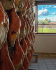 Prosciutto Crudo Ham Factory Visit near Udine & Tasting Lunch with Wine - Crudo Ham Tour - Touraround