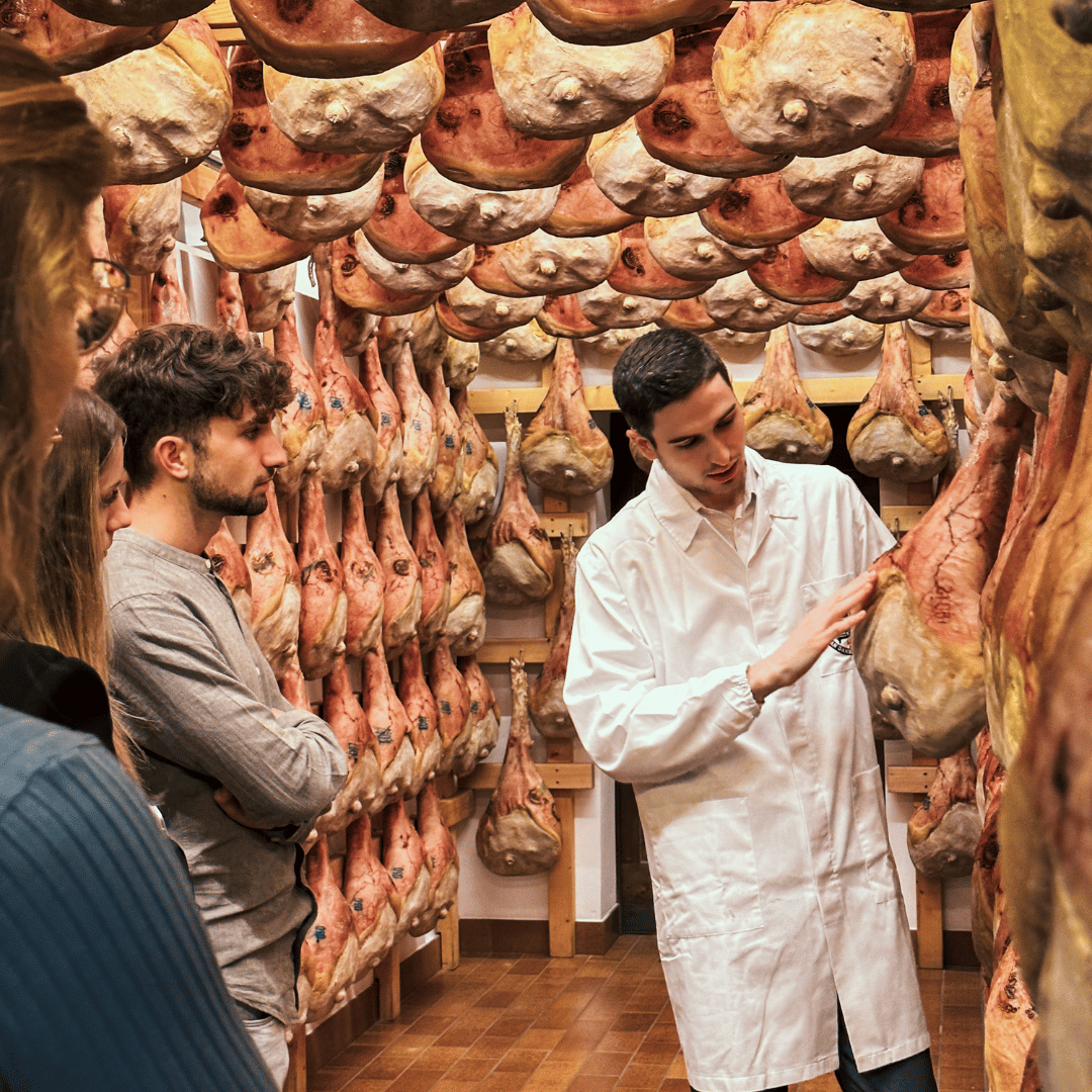 Prosciutto Crudo Ham Factory Visit near Udine & Tasting Lunch with Wine - Crudo Ham Tour - Touraround