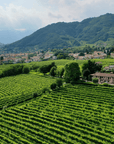 Prosecco Tasting in Countryside Winery - Wine Tasting - Touraround