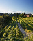 Prosecco Winery Tasting with Food Pairing near Venice - Wine Tasting - Touraround