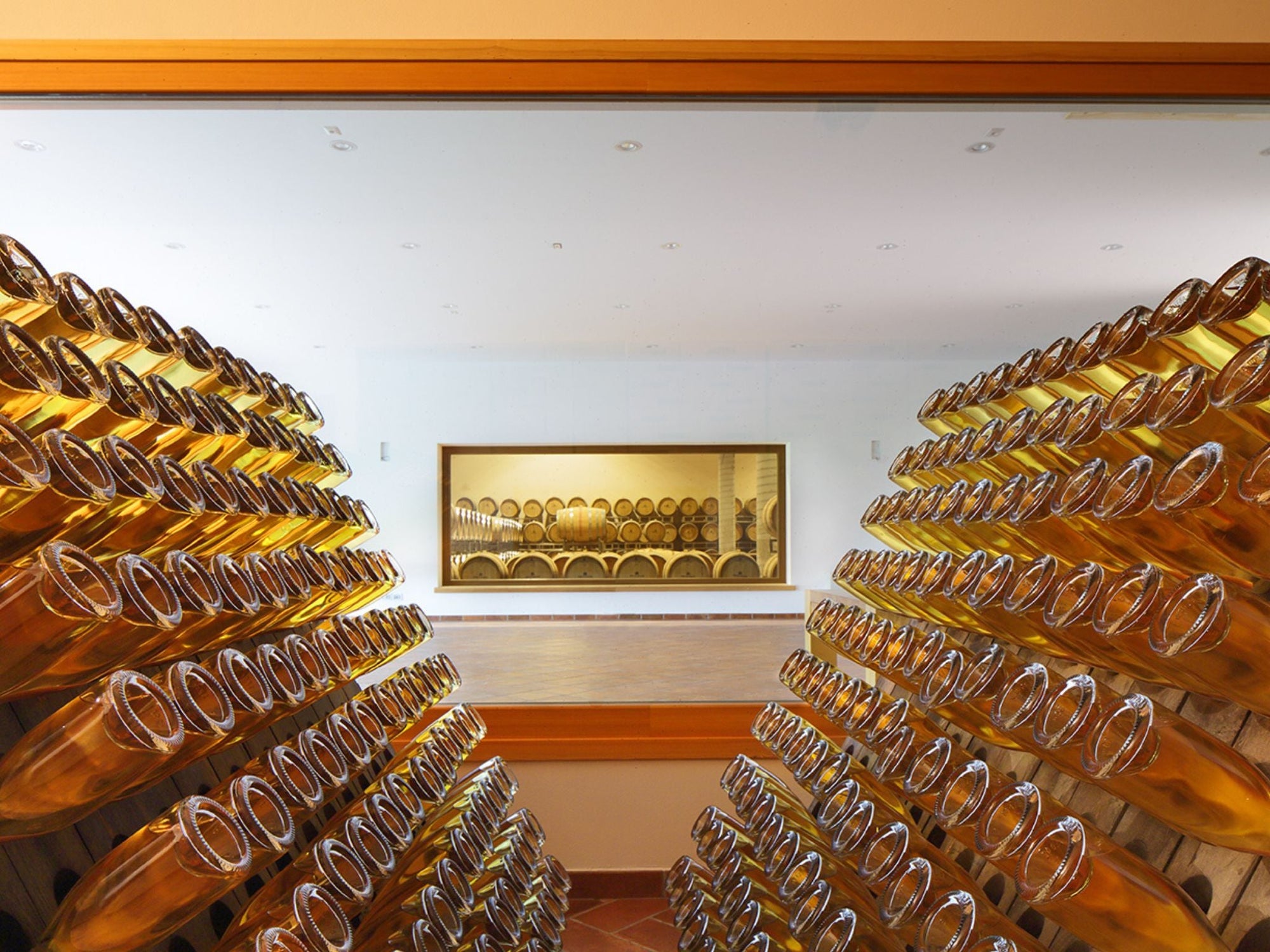 Prosecco Winery Tasting with Food Pairing near Venice - Wine Tasting - Touraround