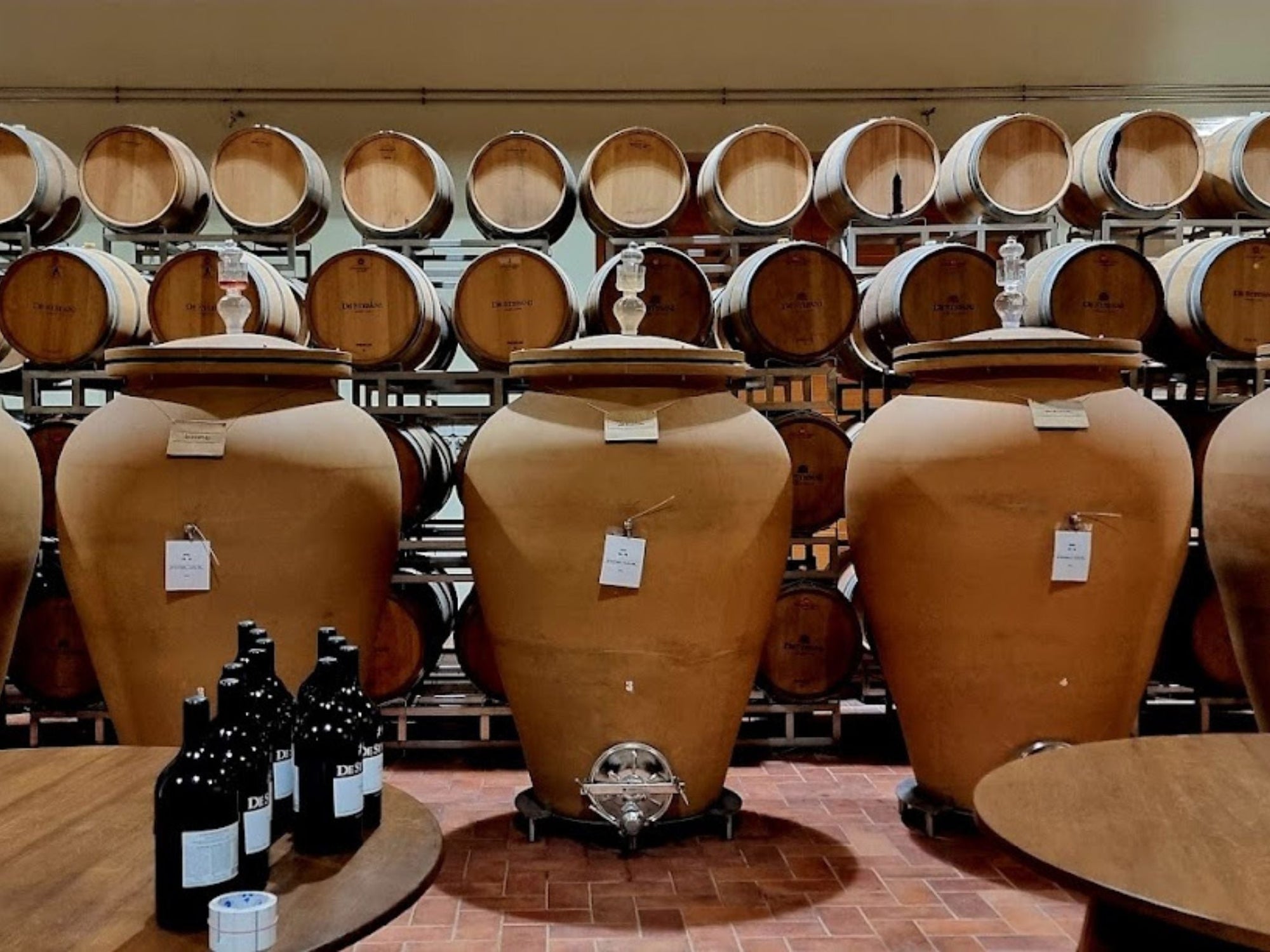 Prosecco Winery Tasting with Food Pairing near Venice - Wine Tasting - Touraround