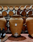 Prosecco Winery Tasting with Food Pairing near Venice - Wine Tasting - Touraround