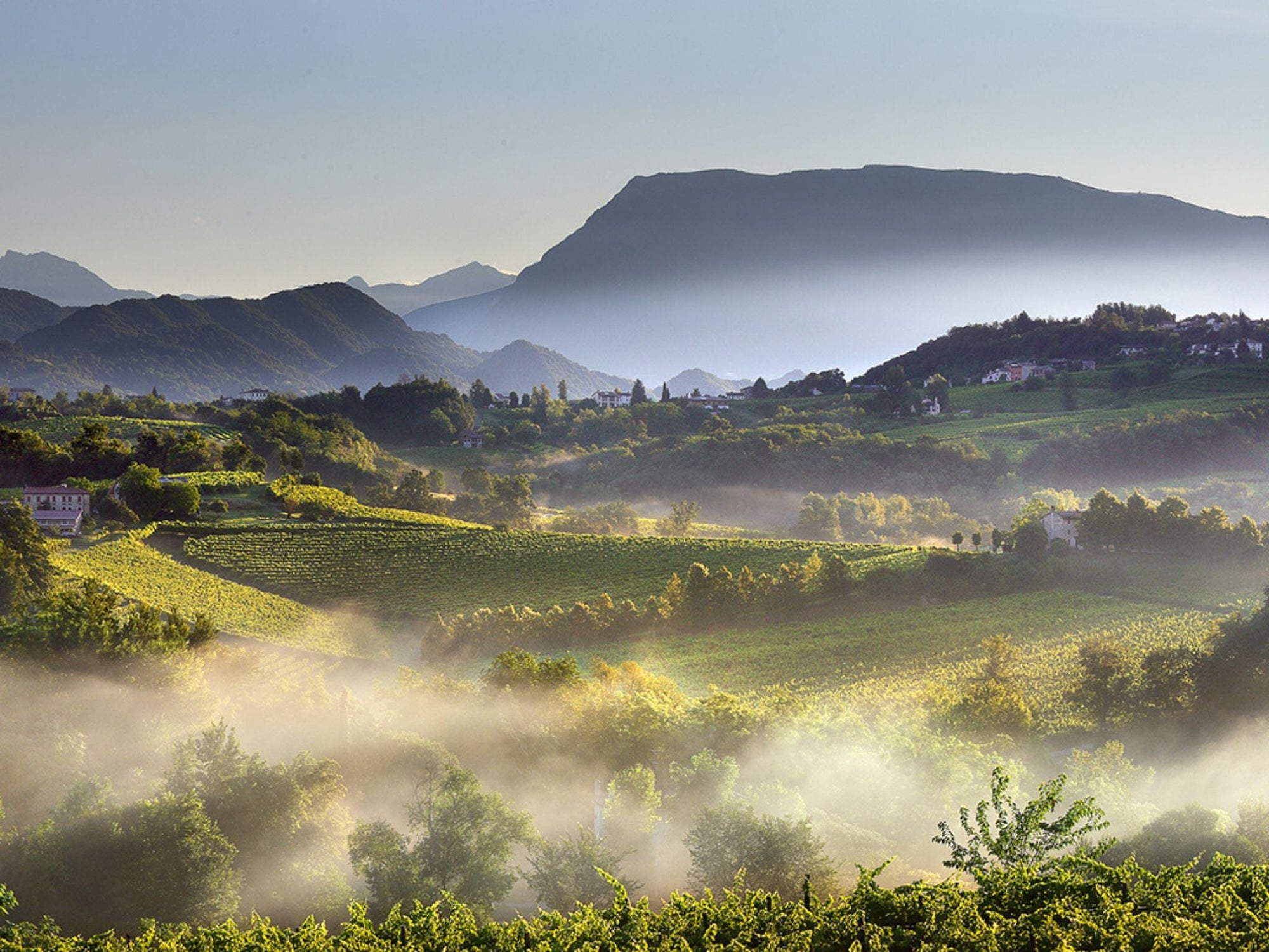 Prosecco Winery Tasting with Food Pairing near Venice - Wine Tasting - Touraround