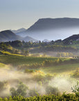 Prosecco Winery Tasting with Food Pairing near Venice - Wine Tasting - Touraround