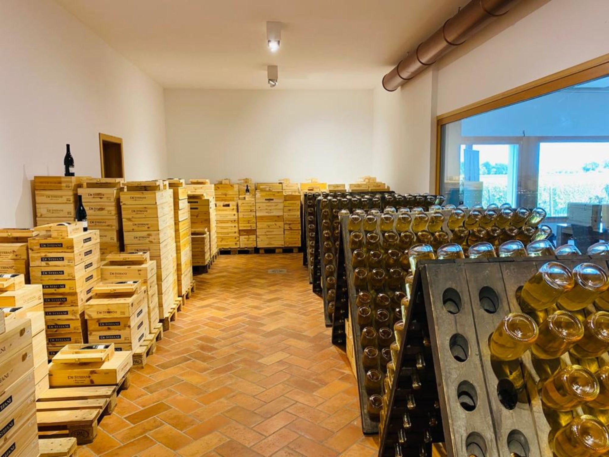 Prosecco Winery Tasting with Food Pairing near Venice - Wine Tasting - Touraround