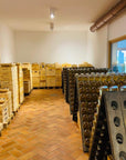 Prosecco Winery Tasting with Food Pairing near Venice - Wine Tasting - Touraround