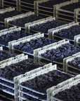 Prosecco Winery Tasting with Food Pairing near Venice - Wine Tasting - Touraround