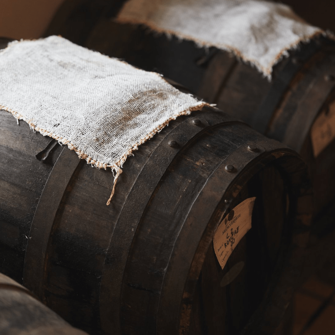 Reggio Emilia: Balsamic Vinegar Tasting & Production Tour - Balsamic Vinegar Tasting - Touraround
