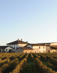 Reggio Emilia: Balsamic Vinegar Tasting & Production Tour - Balsamic Vinegar Tasting - Touraround