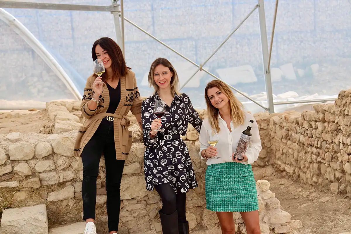 Roman Villa Mosaics Tour & Valpolicella Wine Tasting - Wine Tasting - Touraround