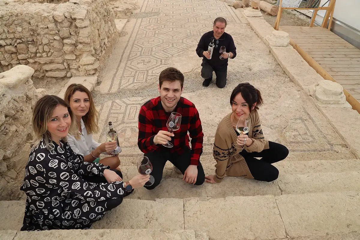Roman Villa Mosaics Tour & Valpolicella Wine Tasting - Wine Tasting - Touraround