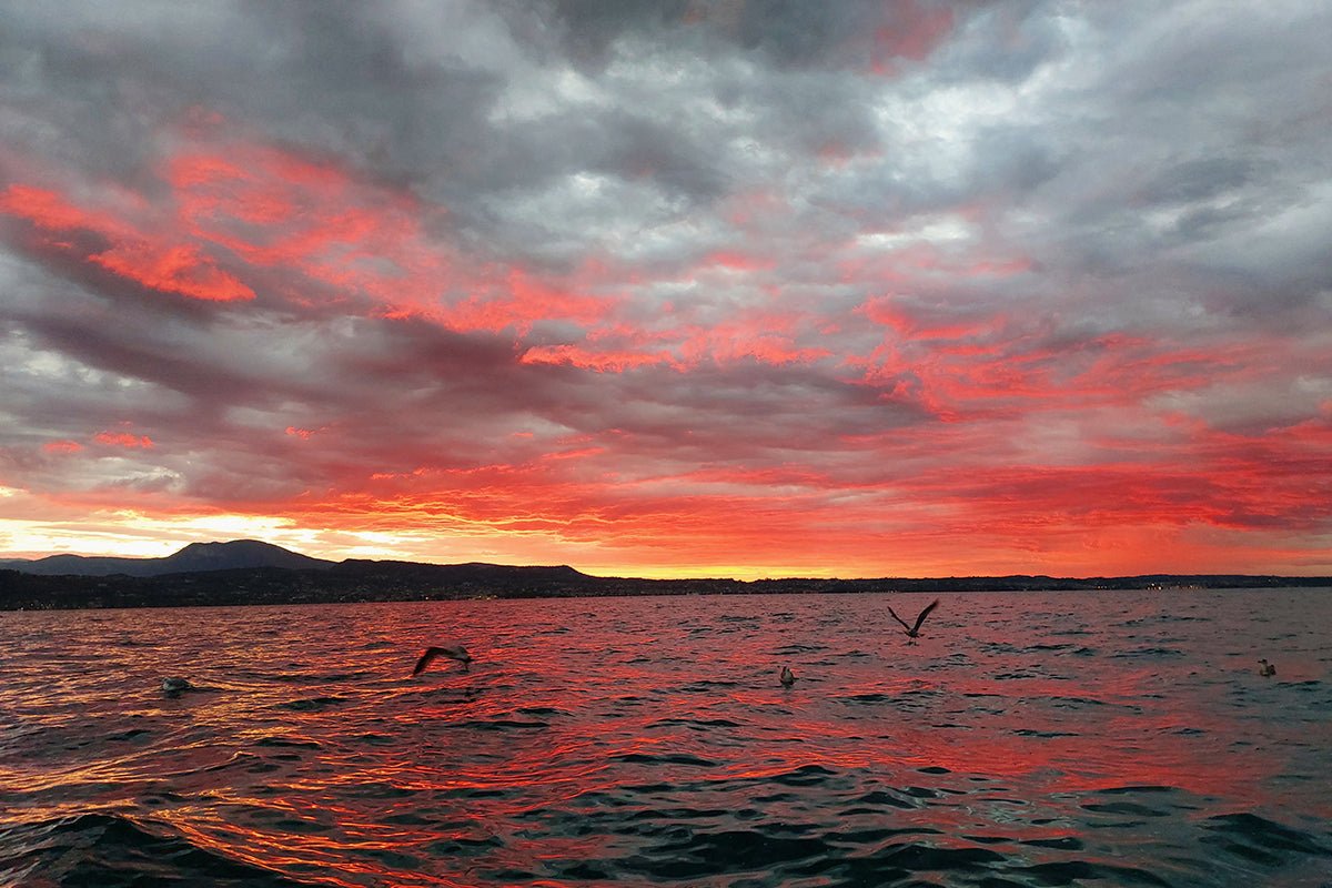 Sunset Cruise with wine aperitif from Lazise - Boat Tour - Touraround