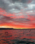 Sunset Cruise with wine aperitif from Lazise - Boat Tour - Touraround