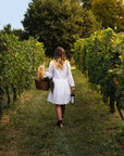 Tasting of 4 Valtenesi wines with local food in Salò - Wine Tasting - Touraround