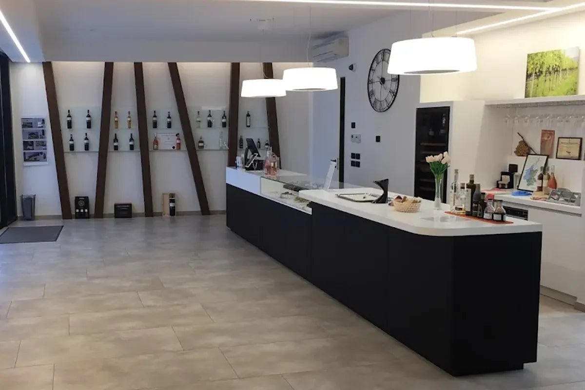 Tasting of 6 red wines from Garda and Valpolicella in Bardolino - Wine Tasting - Touraround