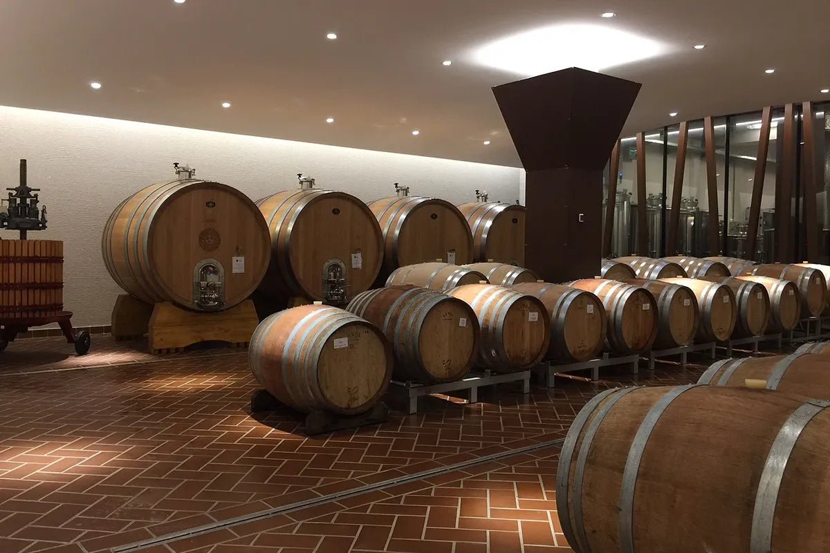 Tasting of 6 red wines from Garda and Valpolicella in Bardolino - Wine Tasting - Touraround