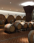 Tasting of 6 red wines from Garda and Valpolicella in Bardolino - Wine Tasting - Touraround