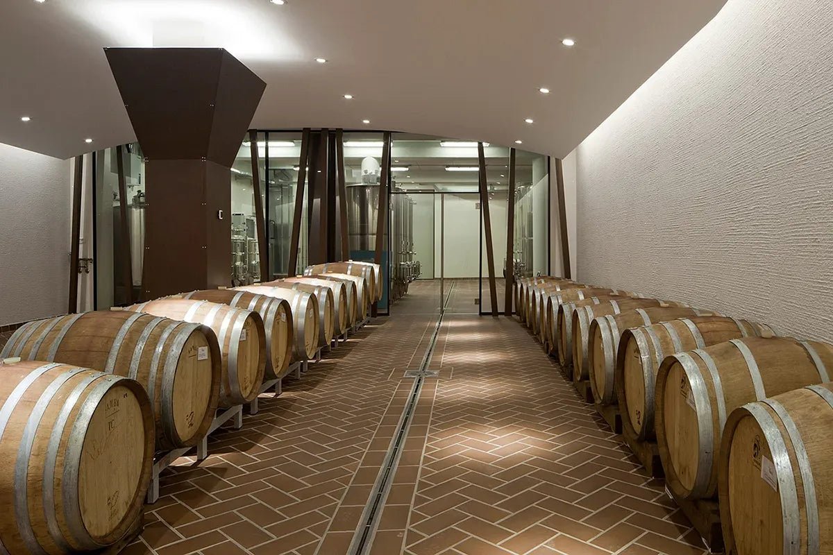 Tasting of 6 rosè and white wines in Bardolino with Lake View - Wine Tasting - Touraround