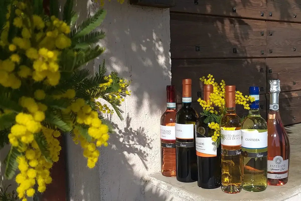 Tasting of 6 rosè and white wines in Bardolino with Lake View - Wine Tasting - Touraround