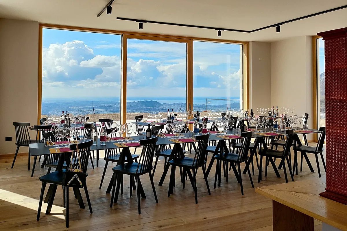 Tasting of Organic Mountains Wines with Vineyard and Cellar Tour - Wine Tasting - Touraround