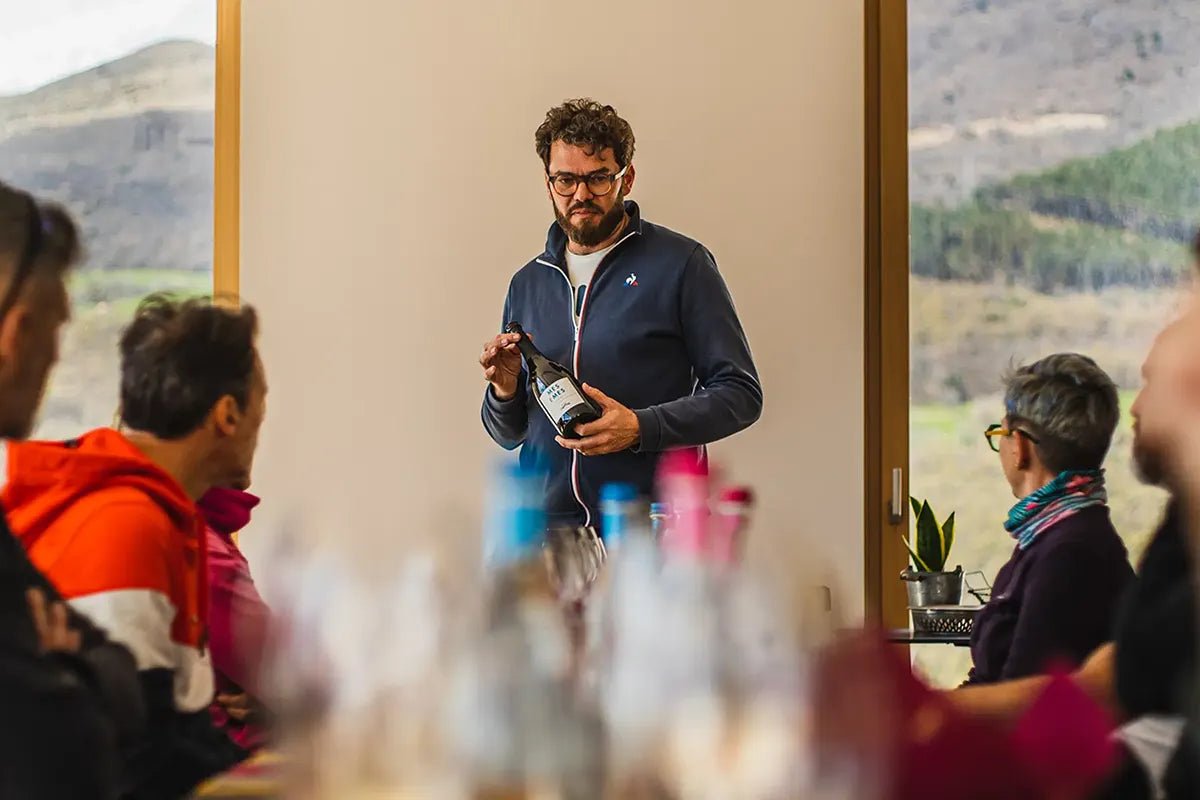 Tasting of Organic Mountains Wines with Vineyard and Cellar Tour - Wine Tasting - Touraround