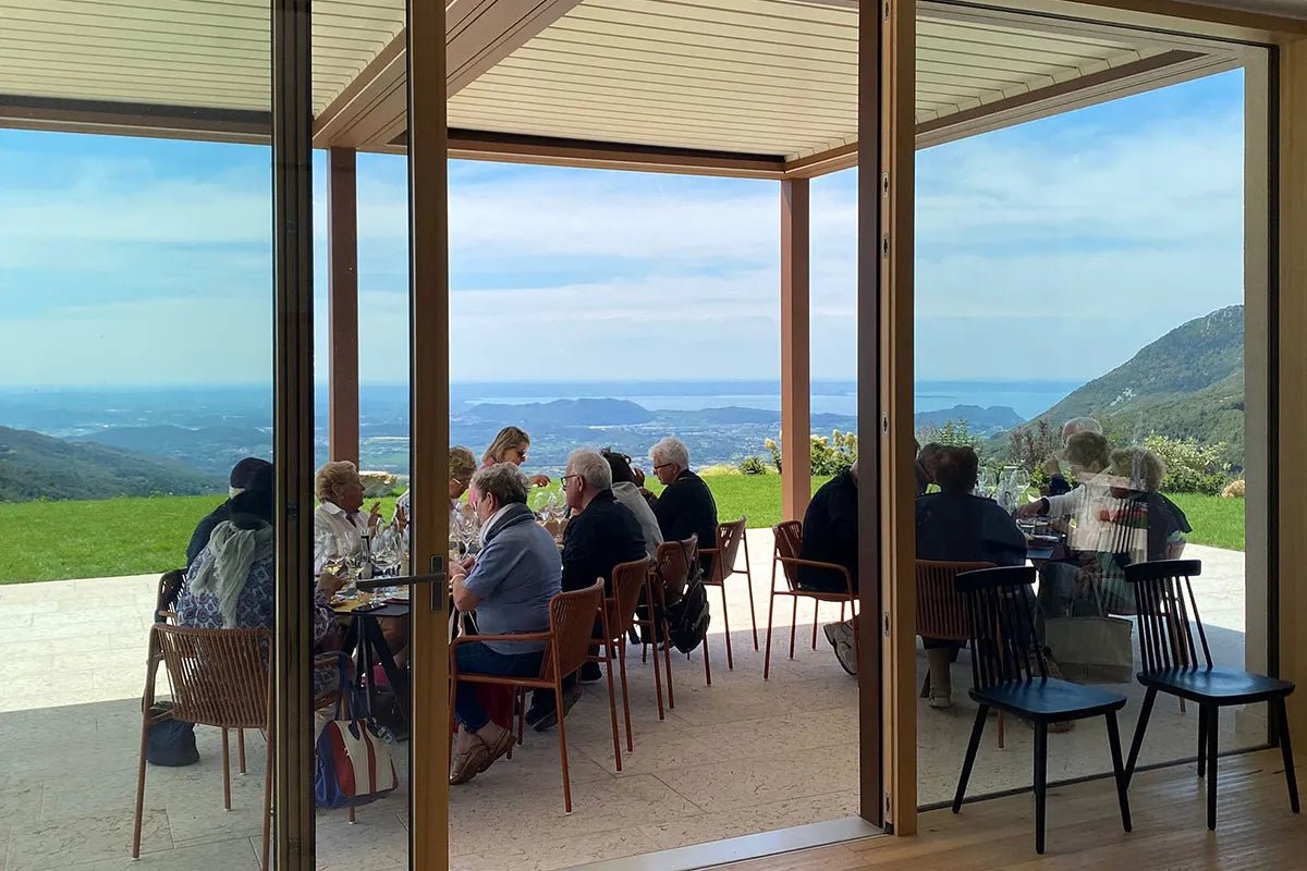 Tasting of Organic Mountains Wines with Vineyard and Cellar Tour - Wine Tasting - Touraround